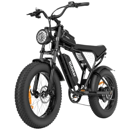 Ridstar Q20 (1.5KW / 37MPH)